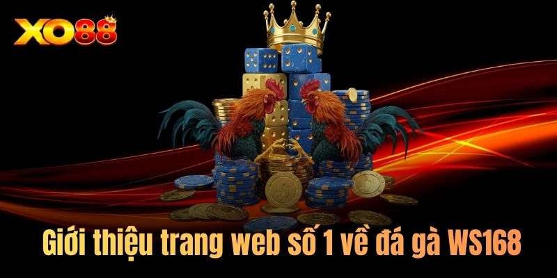 Giới thiệu trang web số 1 về đá gà WS168